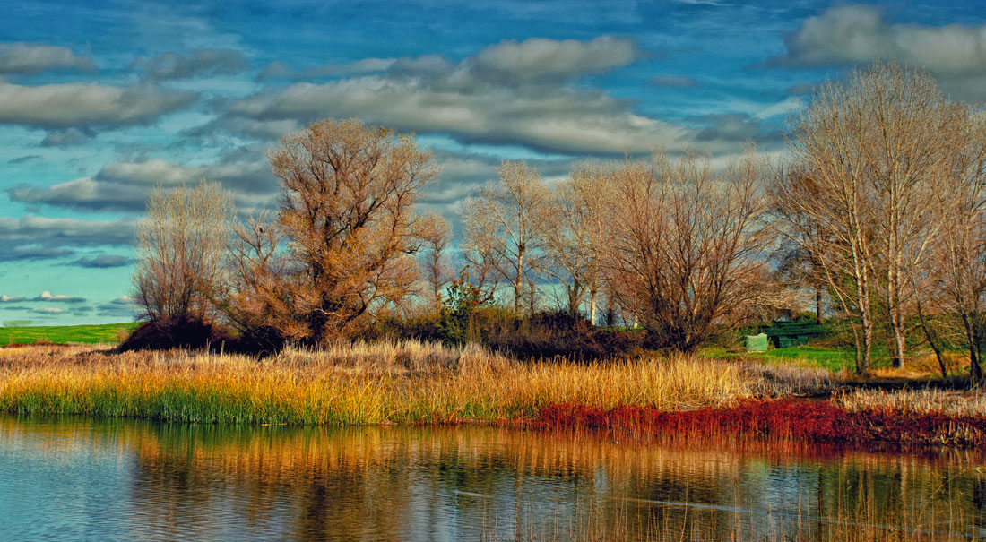 colors of winter contra loma reservoir