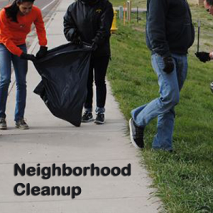 neighborhood cleanup