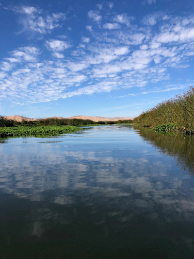 Corteva Wetlands 002