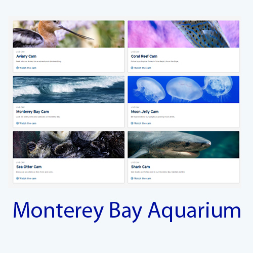 monterey bay aquarium