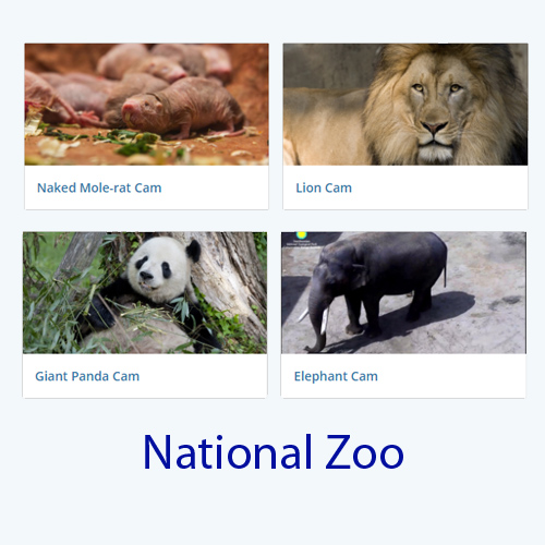 national zoo