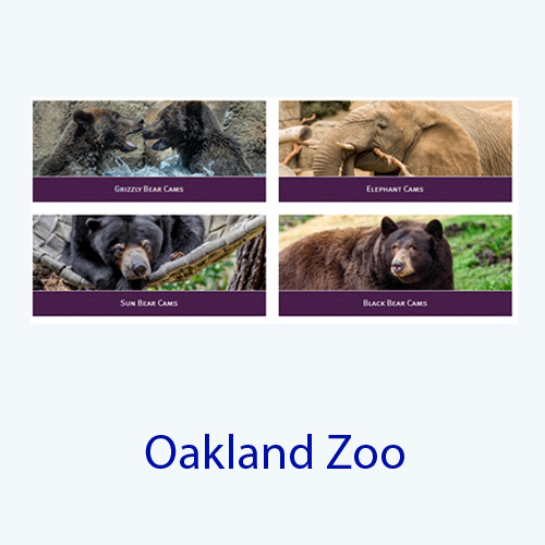 oakland zoo