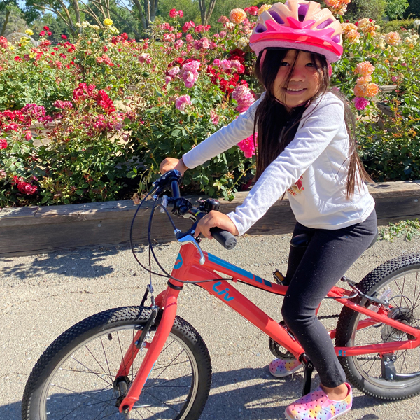 bicycle garden 4